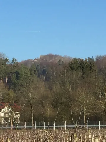 Burg Hohenfels (Hohenfels) 07