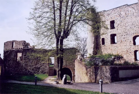 Burg Hohensolms 02