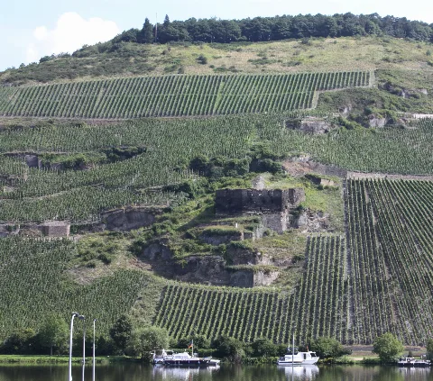 Burg Zeltingen Ortslage B2