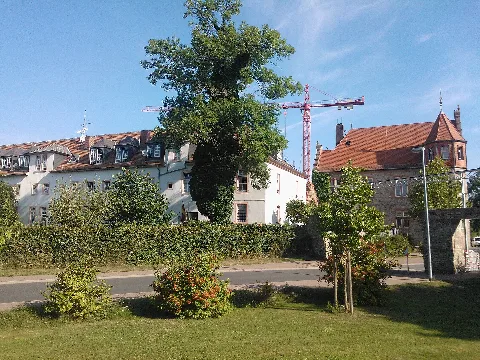 Burganlage Dieburg Albinischloss