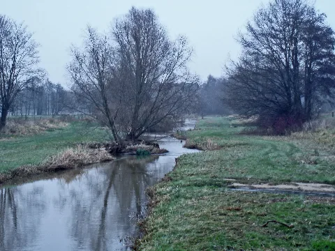 Burgdorfer Aue