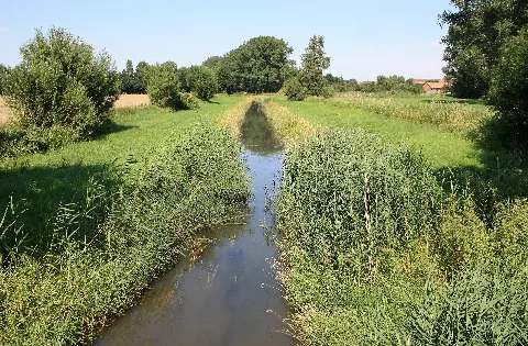 Burgdorfer Aue Steinwedel