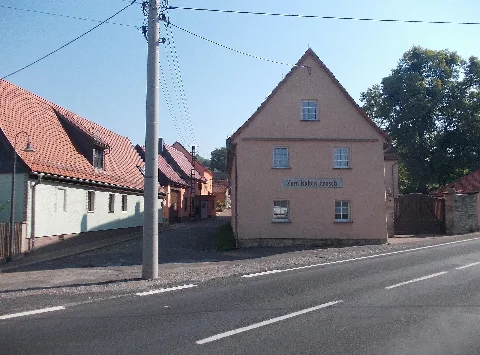 Burgholzhausene Frosch1