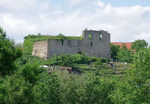 Burgruine Altsachsenheim Bei Untermberg