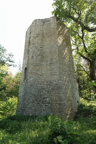 Burgruine Ebermannsdorf01