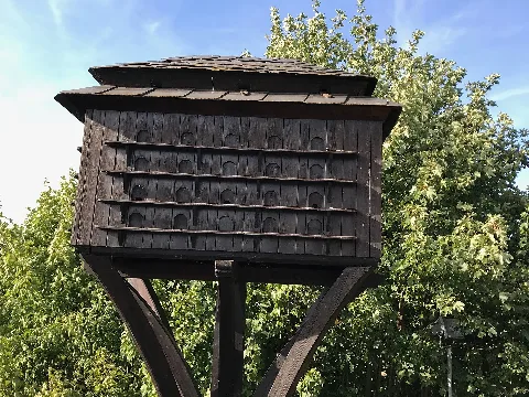 Burgruine Elsterberg 11