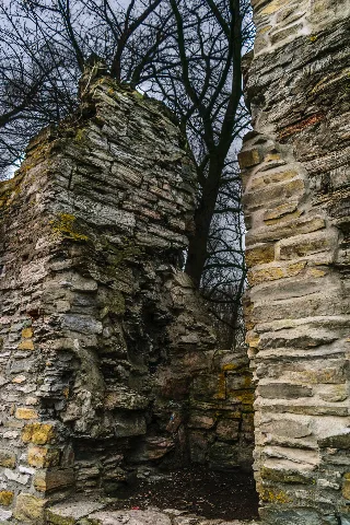 Burgruine Lipperode 0033 (16213643761)