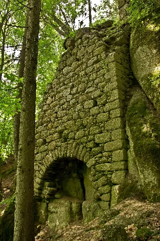 Burgruine Saxenegg Nordseite