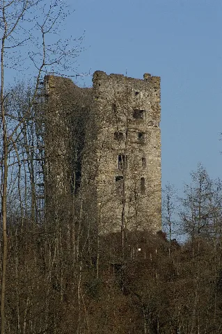 Burgruineneumontfort