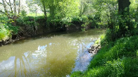 Burgstall Enzheim 07 Nidder