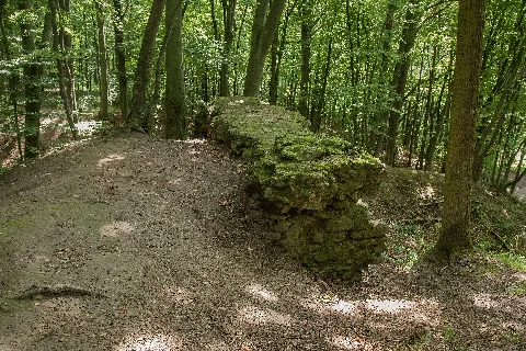 Burgstall Schauerberg05