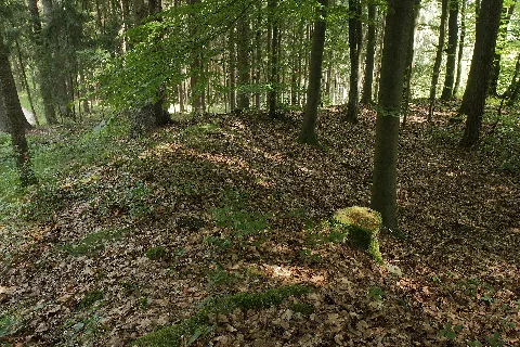 Burgstall Theuern01
