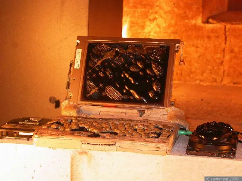 Burned Laptop Secumem 07