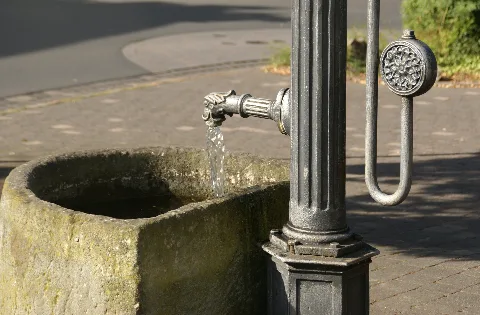 Buschhoven Wasserpumpe (02)