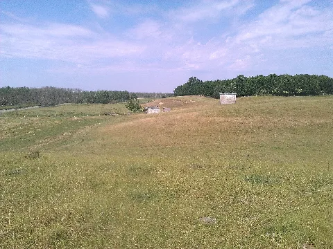 Buschmähns Welt,,,