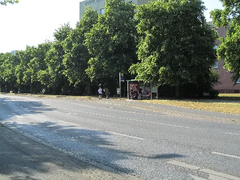 Bushaltestelle Alte Heide, 4, Sahlkamp, Hannover