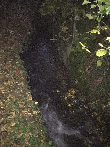Céligny Nant Le Courtenaud Canal