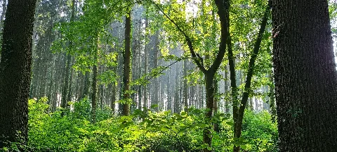 Calhorner Mühlenbachtal