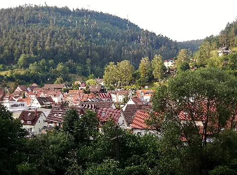Calmbach Panoramio (1)