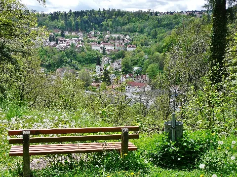 Calw Panoramio (2)