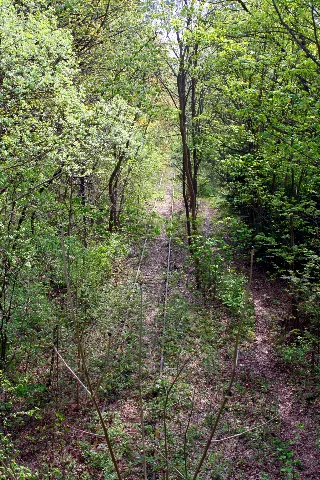 Calw Schwarzwaldbahn2