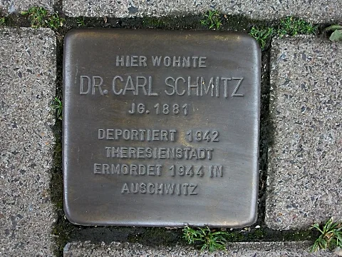 Carl Schmitz