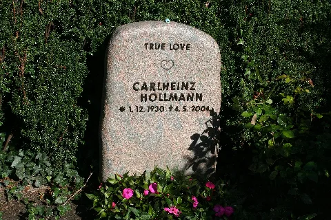 Carlheinz Hollmann