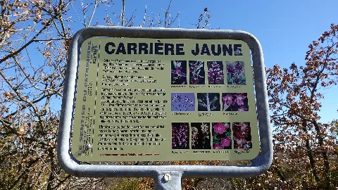 Carrière Jaune 8