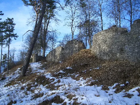 Castle Of Honberg Panoramio