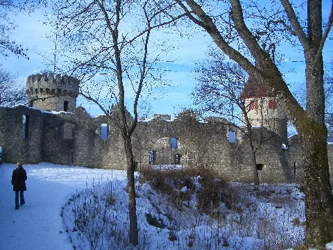 Castle Of Honberg Panoramio Eduardo Manchon (4)