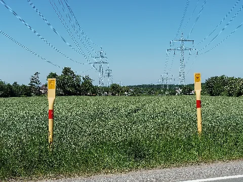 Das LSG Behringhausen in Castrop-Rauxel von der Karlstraße aus gesehen, CDDA-Code:555554116; Freileitungen Bl. 1691 (links, 110 kV) und Bl. 2610 (rechts, 220 kV), vorne zwei Ferngas-Richtpfähle (Open Grid Europe)