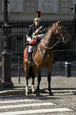 A horse(wo)man of the cavalry regiment of the Garde Républicaine, avenue de Friedland, July 14th, 2012, Paris, France.