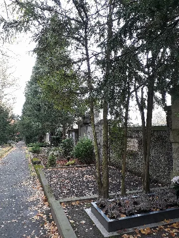 Cemetery Apolda 2