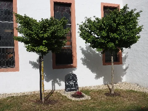 Cemetery Saasa 2