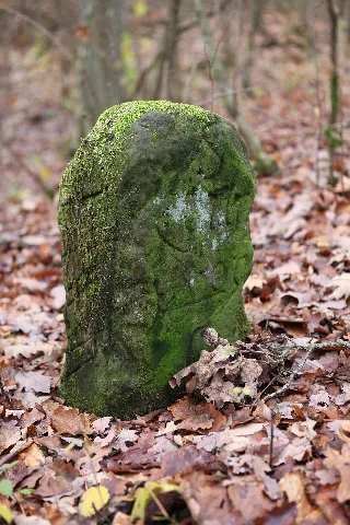 Centstein Flür Lindig