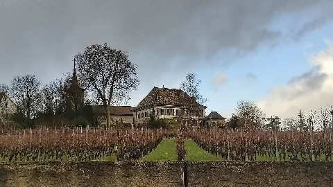 Château D'etoy