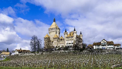 Château De Vufflens Et Vignes (1)