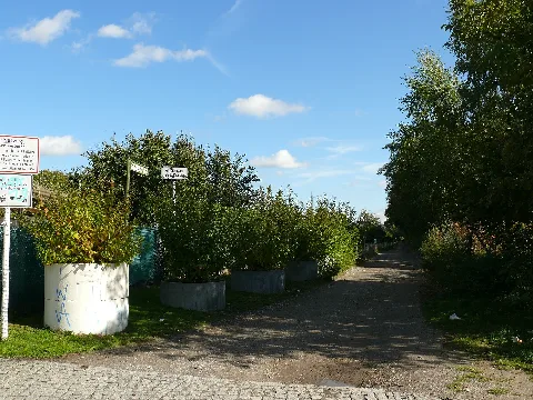 Jungfernheide