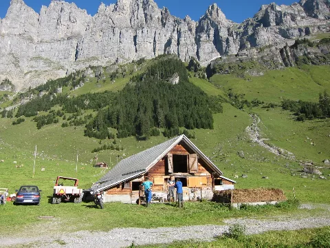 Cheese Rounds Direct From Farmer Panoramio