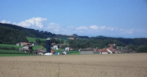 Cheiry2012