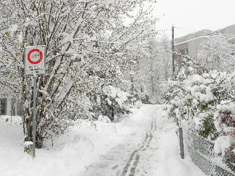 Chemin Des Vignes During Winter Panoramio
