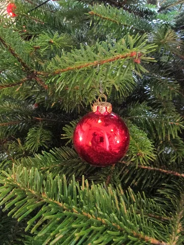 Christbaumkugel Panoramio (2)