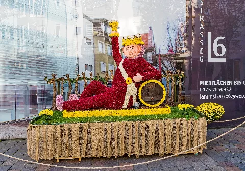 Chrysanthema 2016 Lahr Jm24280