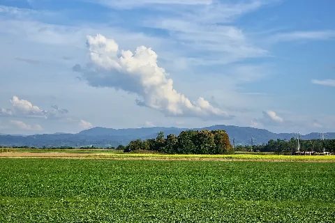 Clouds Above The Black Forest