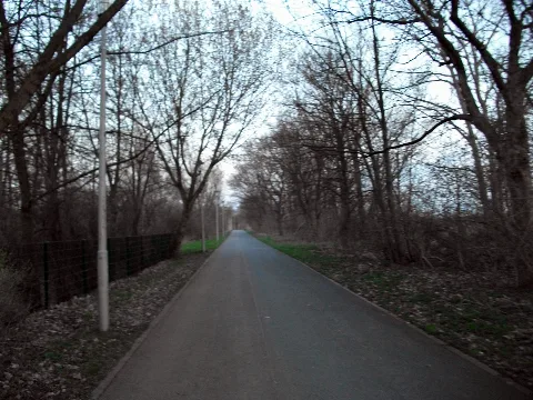 Clp 20100405 Malchow Hohenschönhauser Weg