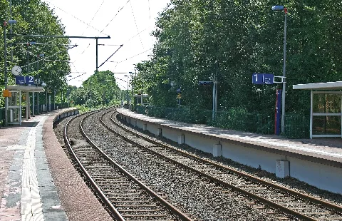 Clp 20140811 2310 Hp Essen Gerschede Bstg