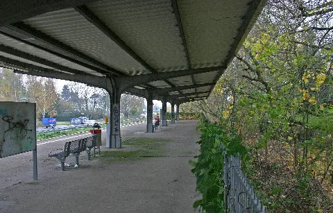 Clp 20141114 3872 Hp Ahrensfelde Friedhof Bstg
