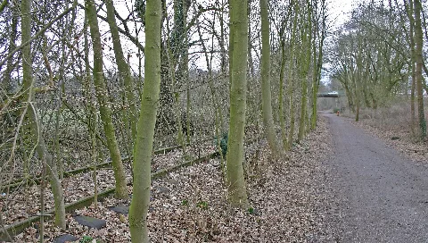 Clp 20150304 4202 Vzg 2002 Bei Drevenack