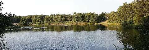 Cluvenhagener See Panorama