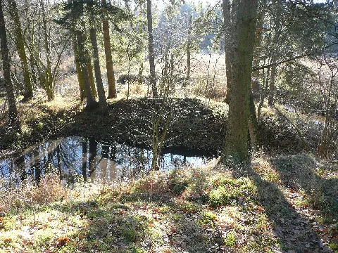 Confluence Of Rivers Boehme And Warnau (Right)